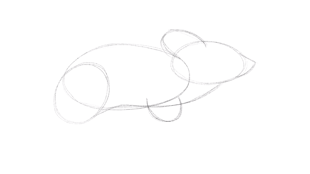 Learn To Draw A Mouse Exercise With Simple Shapes Video