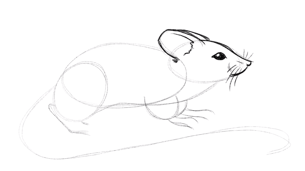 Draw the eyes and muzzle of the mouse