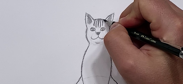 Gesicht der Katze detaillieren 