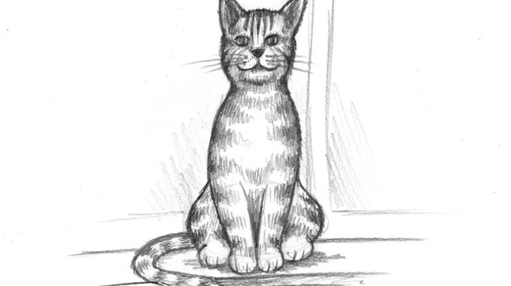 Katze Zeichnung Anleitung