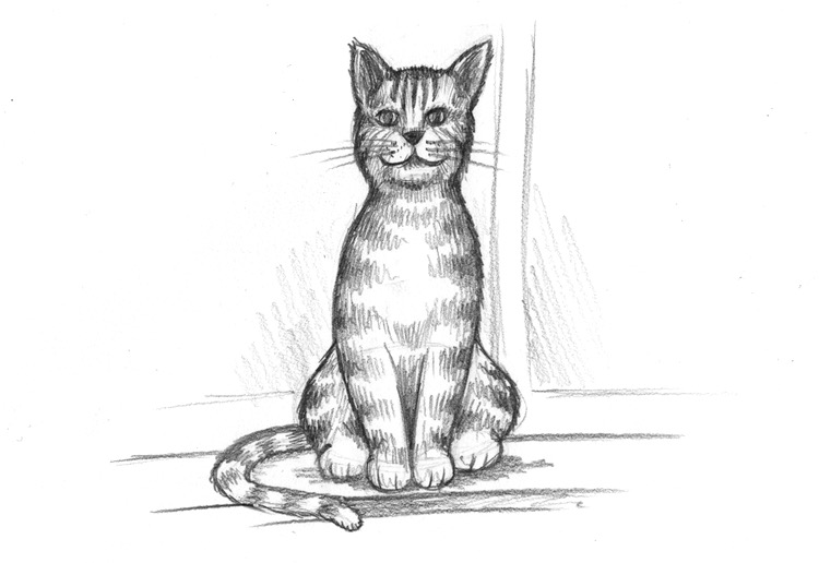 Katze Zeichnen Lernen bung Mit Einfachen Formen VIDEO 