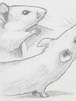 Bleistiftzeichnung Mäuse