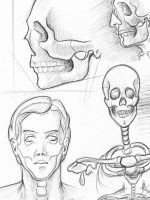 Bleistiftzeichnung Skizze einfach Körperstudie