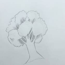 Zeichnen Übung Baum 3