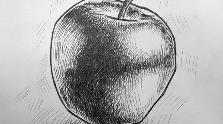 Apple drawing step by step guide