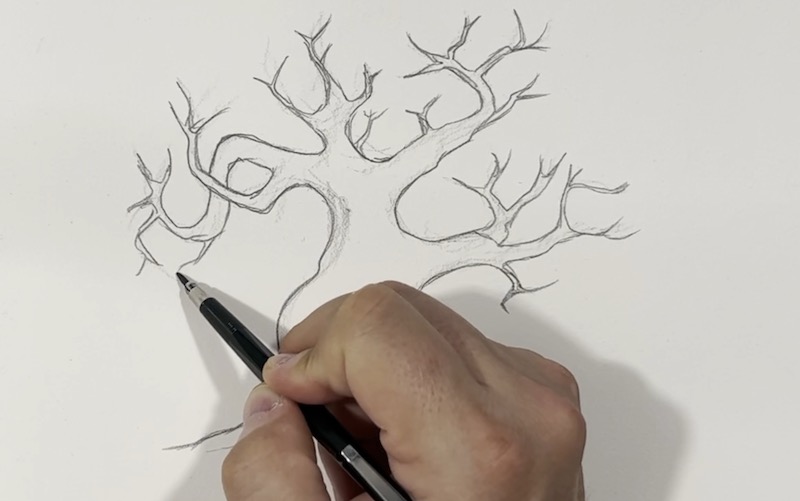 Baum Äste zeichnen