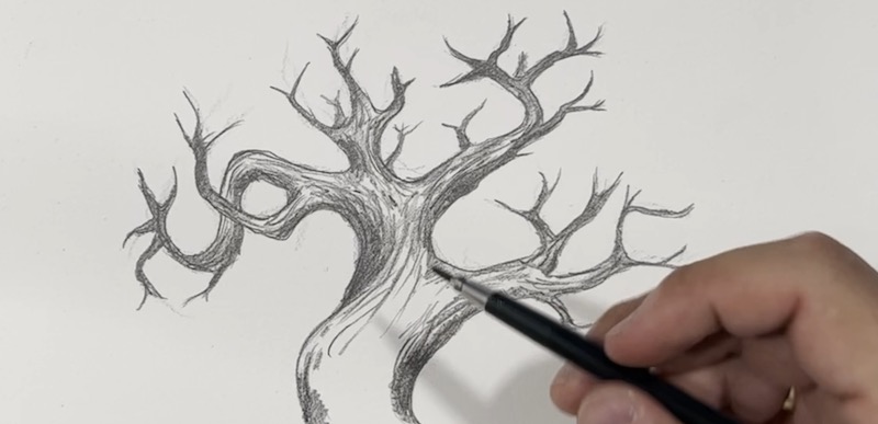 Baum Rinde zeichnen