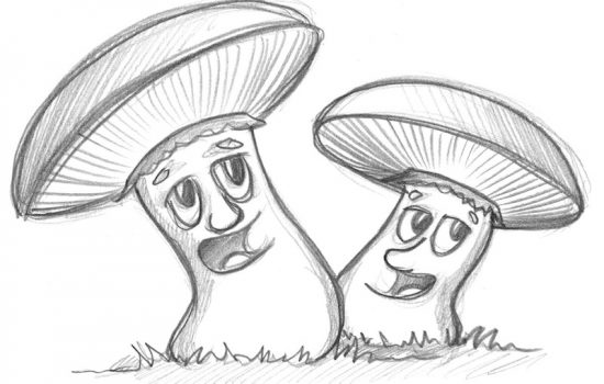 Zeichne Zeichnung Pilze