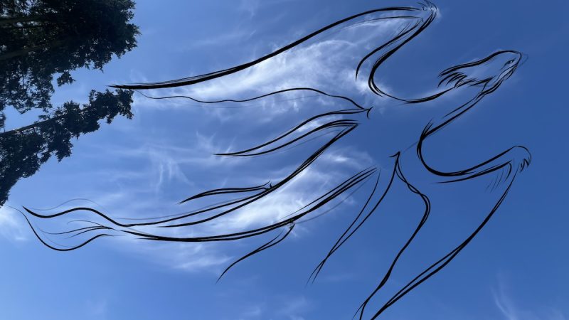 Zeichnungen aus Wolken